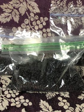 Dried Elderberries