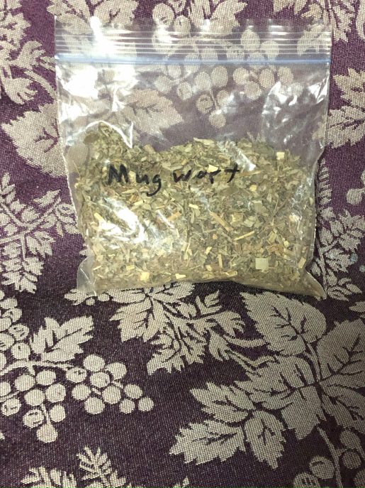 Mugwort