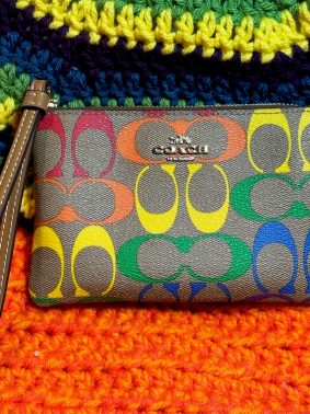 Coach Rainbow canvas wristlet